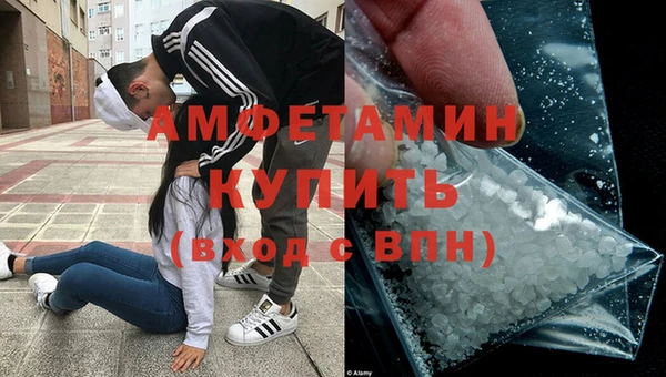 индика Алзамай