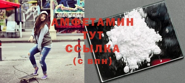 индика Алзамай
