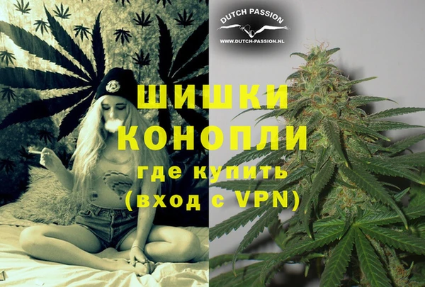 индика Алзамай