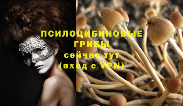 spice Алексин