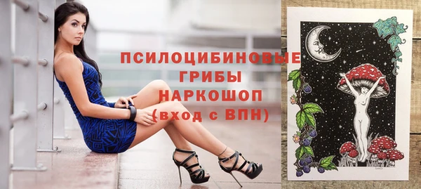 индика Алзамай