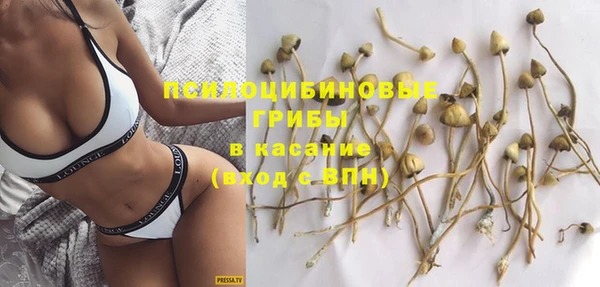индика Алзамай