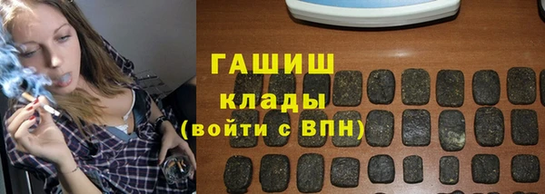индика Алзамай