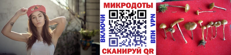 МЕГА ONION  дарнет шоп  Юрьевец  Псилоцибиновые грибы Psilocybine cubensis 
